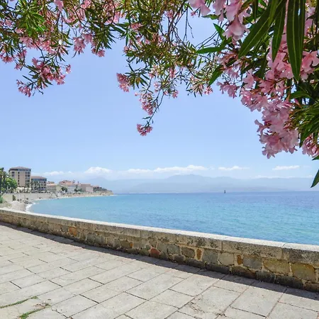 아파트 Cozy In Carcopino With Wifi Sarrola-Carcopino